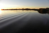 Water Reflections